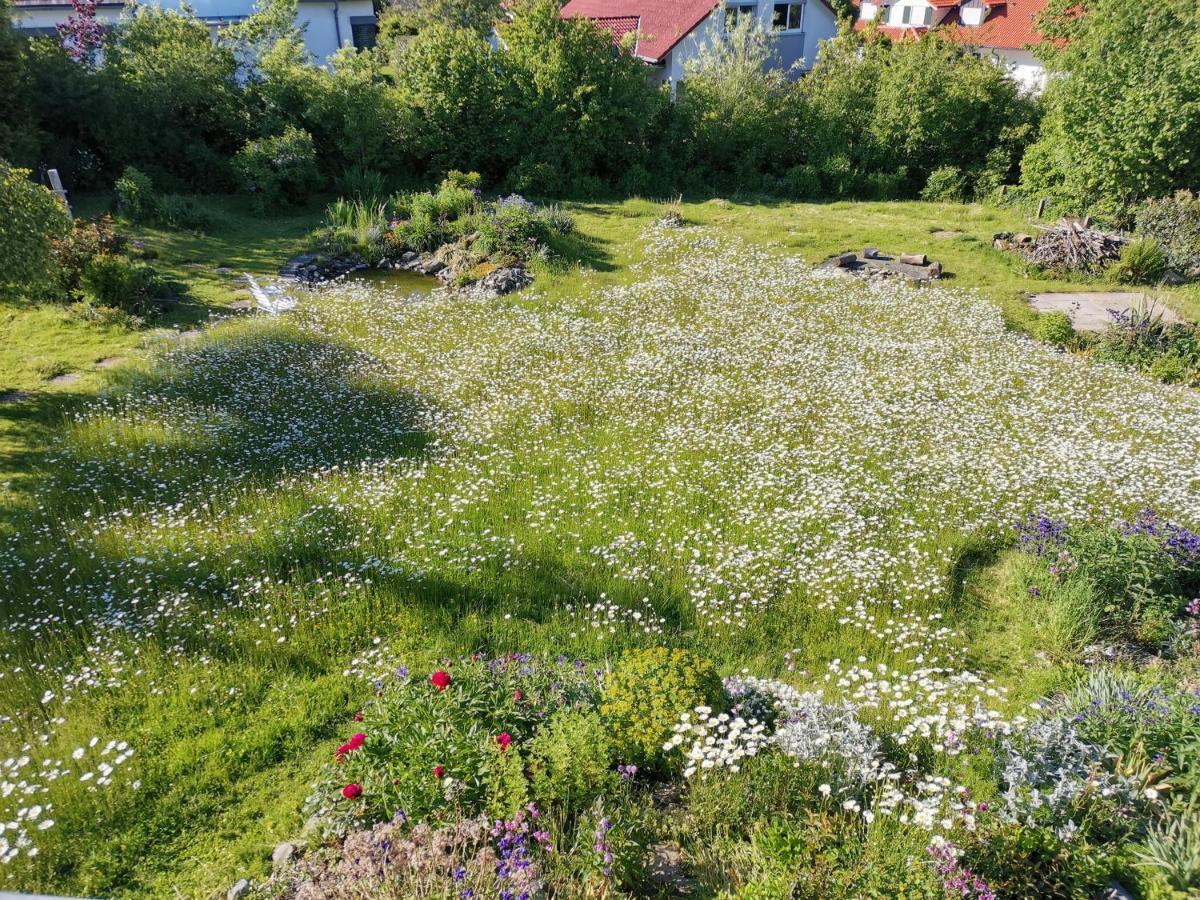 Moderne Ferienwohnung Gartenblick Amtzell Eksteriør bilde