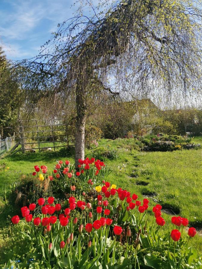 Moderne Ferienwohnung Gartenblick Amtzell Eksteriør bilde